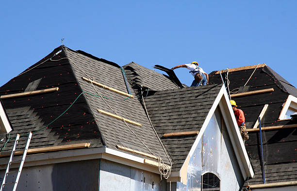 Best Roof Insulation Installation  in Lake Winnebago, MO